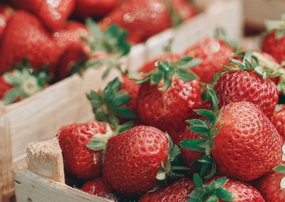 EE.UU/Frutillas: Importaciones no son suficientes para compensar pérdidas de producción por lluvias en California