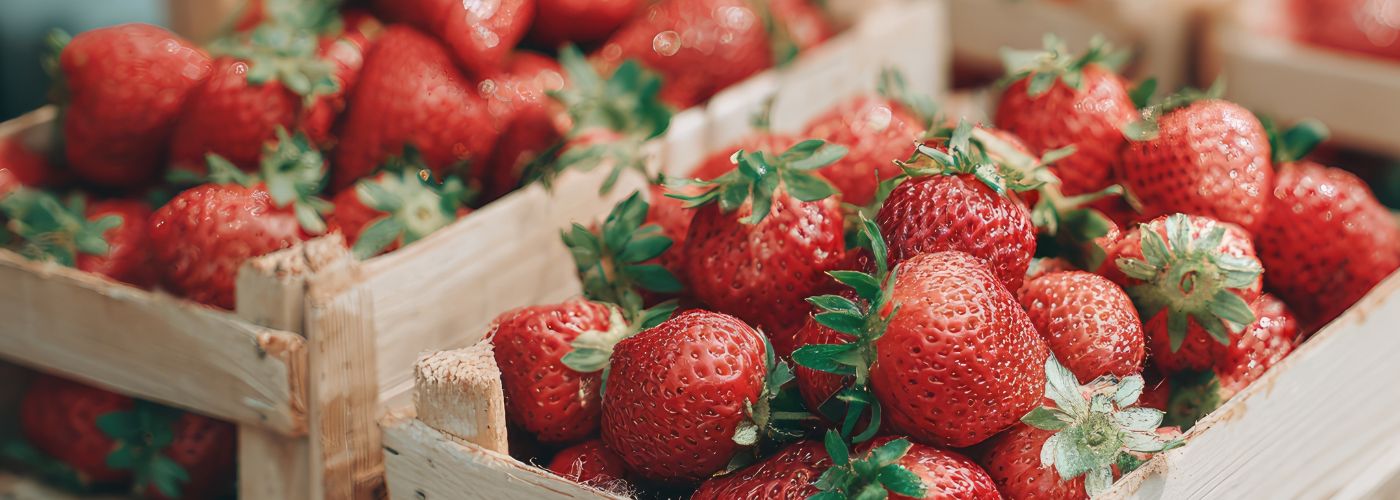 Diseño sin título – 2025-12-17T140911.580