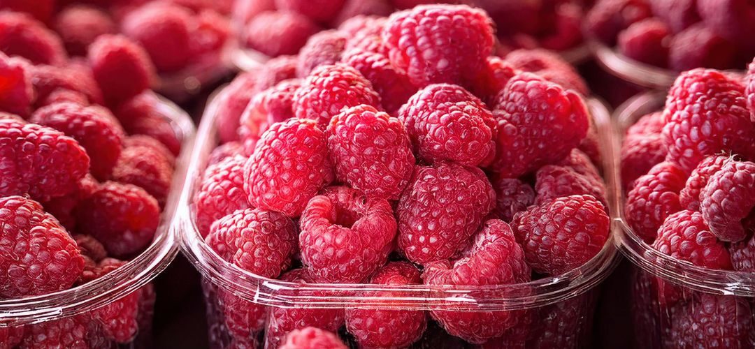 Frambuesas/Washington: Productores piden medidas contra el T-MEC por competencia desleal de precios en importaciones mexicanas