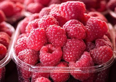 Frambuesas/Washington: Productores piden medidas contra el T-MEC por competencia desleal de precios en importaciones mexicanas