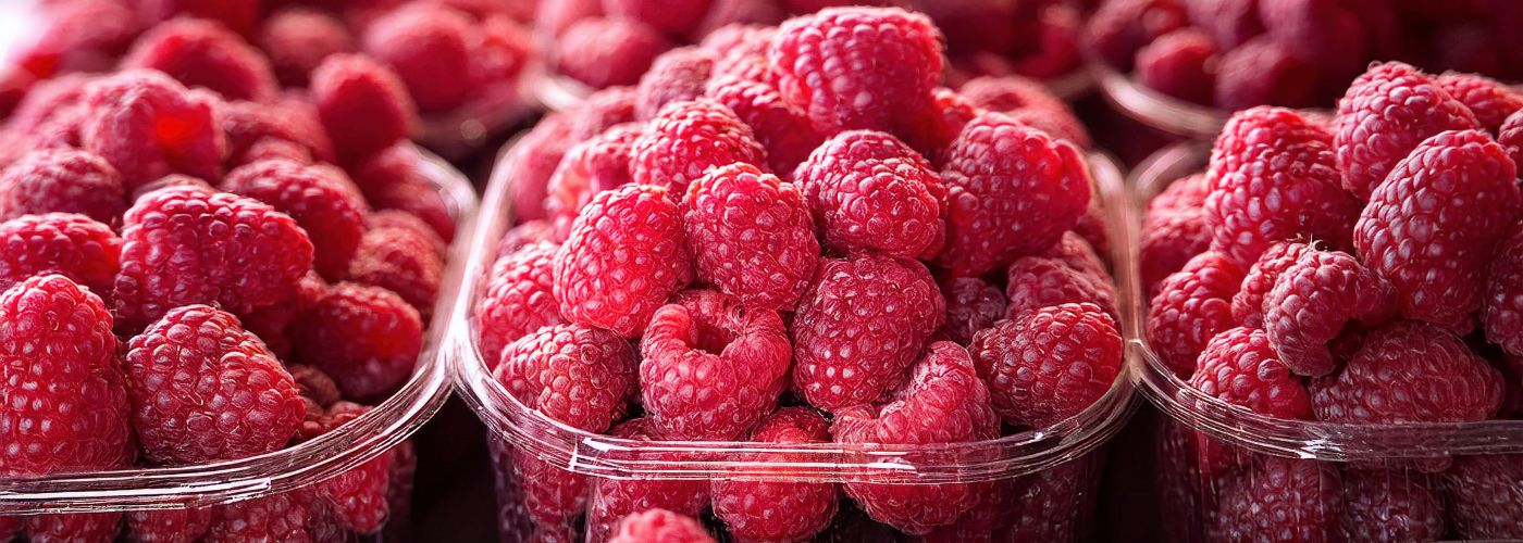 Diseño sin título – 2025-12-19T140428.308