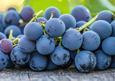 Uvas/USDA: Pronostican crecimiento del 2% en la producción mundial, impulsadas por la alza productiva de China, India, UE y Perú para año comercial 2025/26