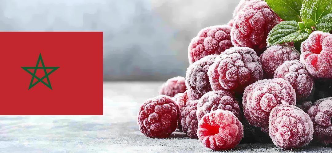 Frambuesas congeladas/Marruecos: Exportaciones récord durante el año 2025 a Francia