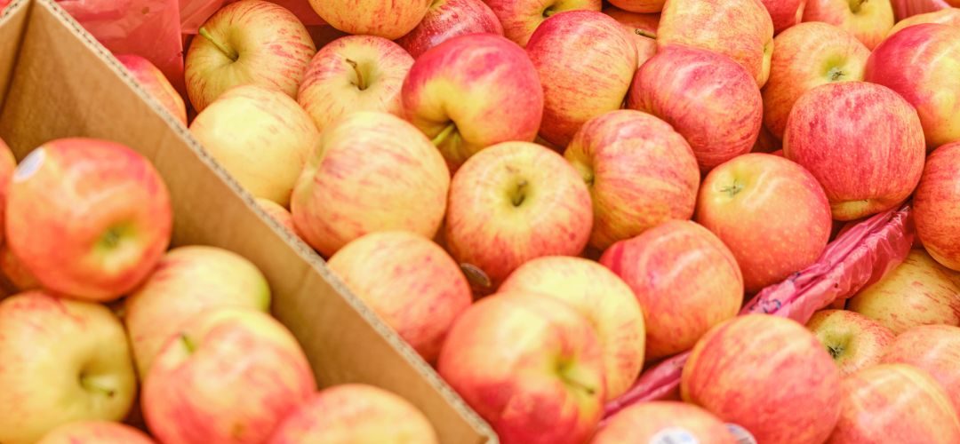 Manzanas/Polonia: Estimación final de fruta cosechada se ajusta al alza y se sitúa en 3,8 millones de toneladas