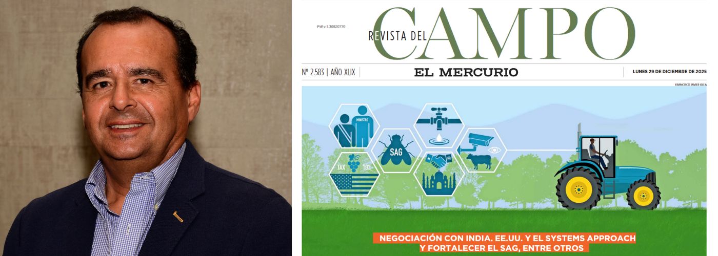 Diseño sin título – 2026-01-02T144748.375