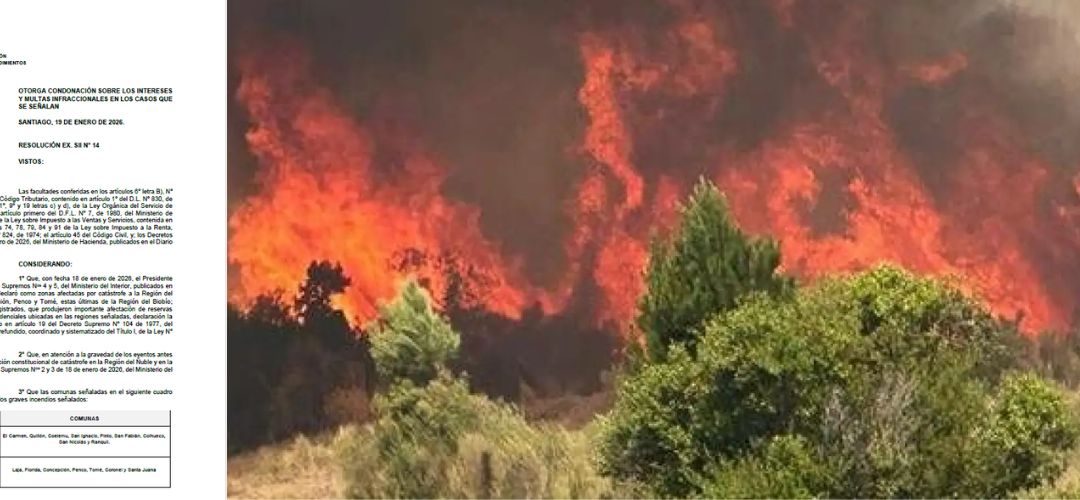 SII publica medidas tributarias excepcionales para contribuyentes afectados por los incendios en las regiones de Ñuble y Biobío