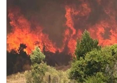 SNA: Medidas tributarias excepcionales para contribuyentes del SII afectados por los incendios en las regiones de Ñuble y Biobío