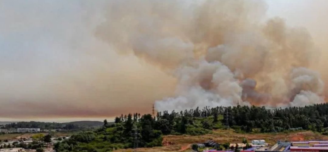 Ministerio de Agricultura declara emergencia agrícola para la Región del Biobío por incendios forestales