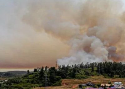 Ministerio de Agricultura declara emergencia agrícola para la Región del Biobío por incendios forestales