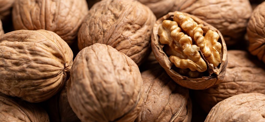 Nueces/EE.UU: Envíos con cáscara se recuperan y aumentan 45% al primer cuatrimestre de la temporada 2025/26