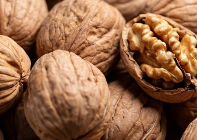 Nueces/EE.UU: Envíos con cáscara se recuperan y aumentan 45% al primer cuatrimestre de la temporada 2025/26