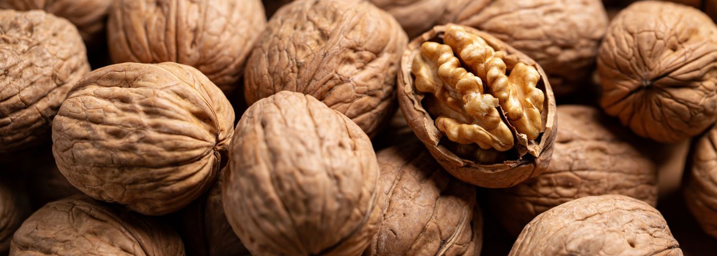 Diseño sin título – 2026-01-28T155427.251