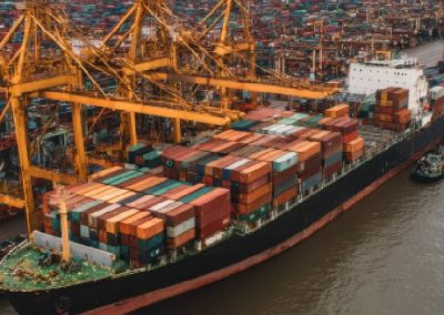 Perú. Exportaciones de arándano alcanzan un récord de 412 mil ton en 2025