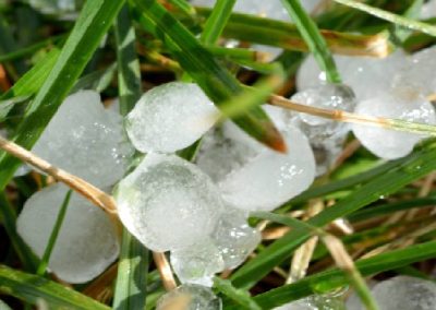 Argentina: Granizo daña 90% de los huertos de alto valle, afectando principalmente las peras y manzanas