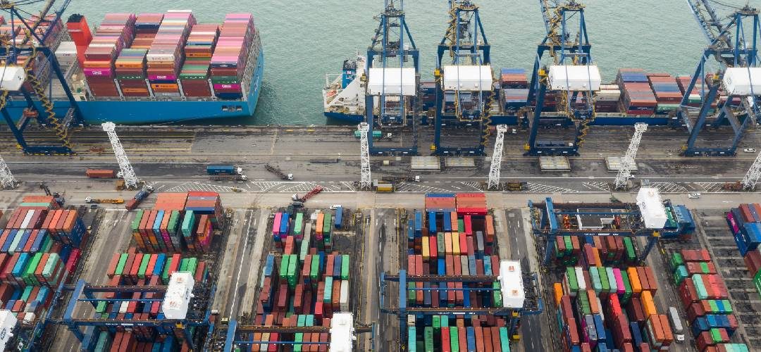 India: Guía actualizada con las regulaciones para la importación de alimentos