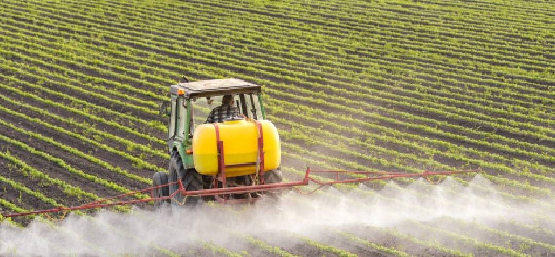 China modificará 598 LMRs para 126 plaguicidas en alimentos