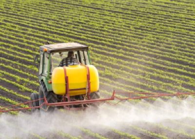 China modificará 598 LMRs para 126 plaguicidas en alimentos