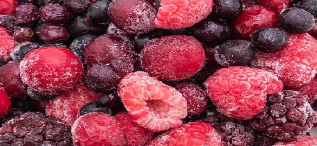 Polonia/Berries Congelados: Realizan primeras previsiones para la temporada 2026