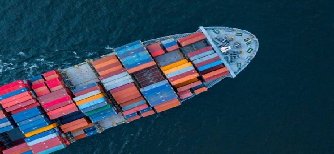 Chile / Alimentos: Exportaciones crecieron 3,4% en 2005, llegando a US$ 24,5 billones