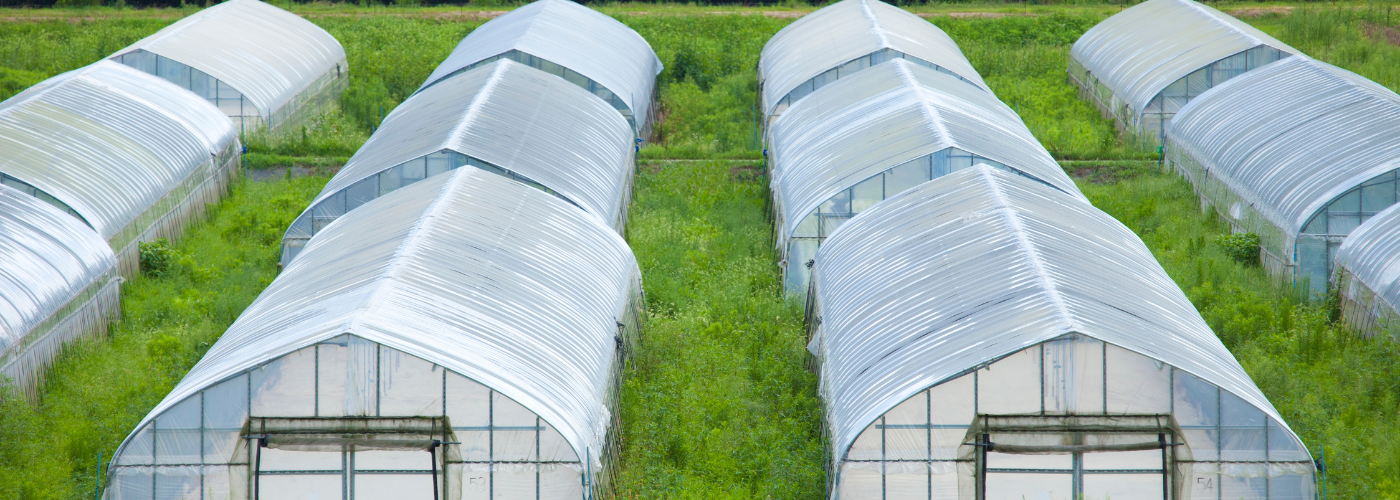 Diseño sin título (11)