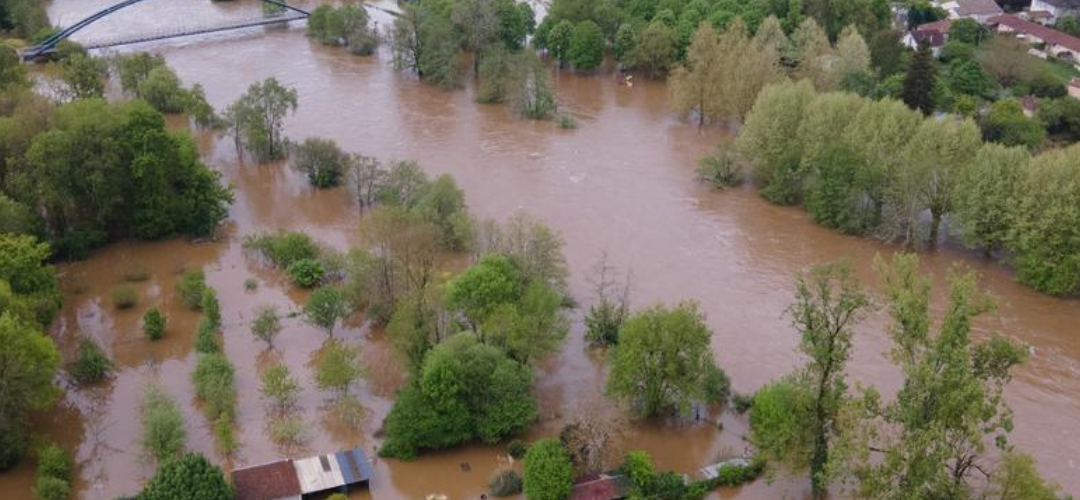 Manzanas/Francia: Inundaciones causan graves daños en huertos de una de las principales zonas productoras del País