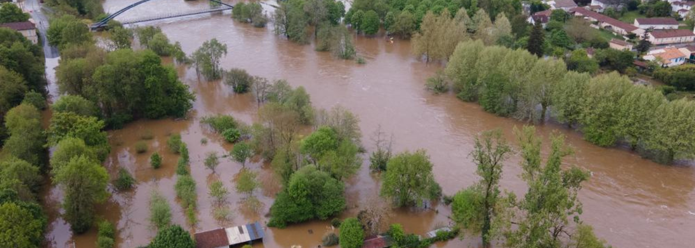 Diseño sin título (12)