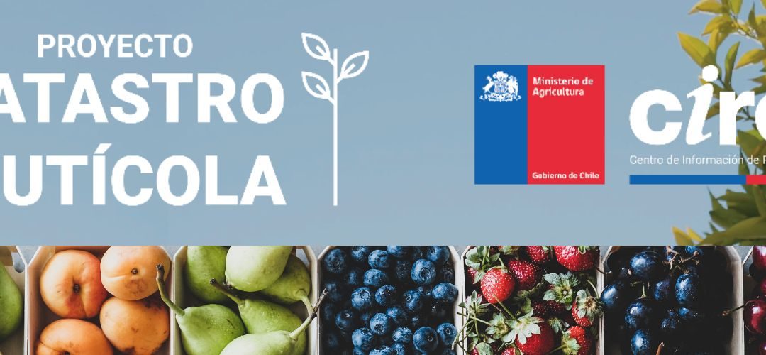 Actualización Catastro frutícola – ODEPA: Los nogales ocupan el 27% de la superficie de la Región Metropolitana, la superficie total alcanza más de 53 mil hectáreas