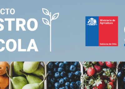 Actualización Catastro Frutícola: Los nogales ocupan el 27% de la superficie de la Región Metropolitana, la superficie total alcanza más de 53 mil hectáreas