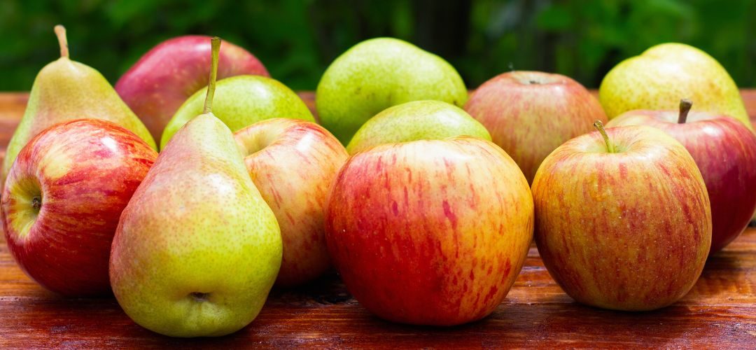 WAPA/Manzanas-Peras: Alzas de stocks marcan el cierre del mercado europeo 2025