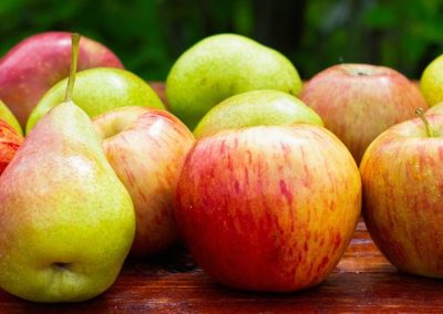 WAPA/Manzanas-Peras: Alzas de stocks marcan el cierre del mercado europeo 2025