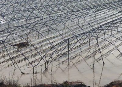 España/Andalucía: Daños en berries, frutales y otros cultivos asciendería a más de 3 billones de euros por el paso de la tormenta Leonardo