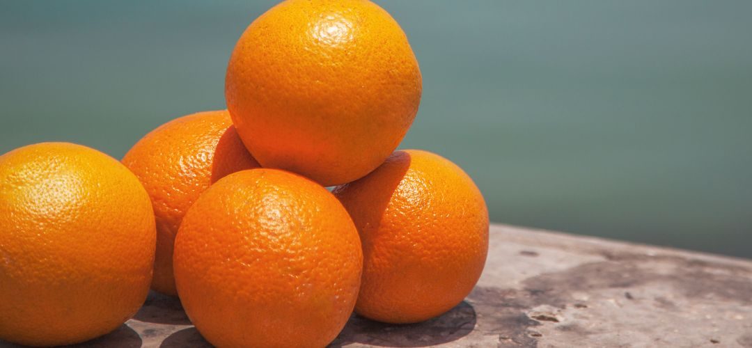 Naranjas/Brasil: Tercera estimación de cosecha 2025/26 se ajusta a la baja y alcanzará 292,60 millones de cajas