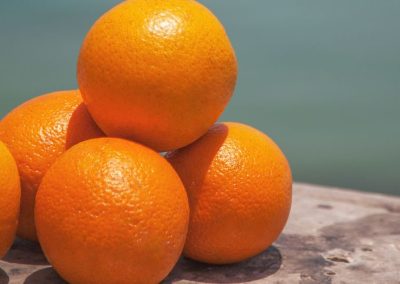 Naranjas/Brasil: Tercera estimación de cosecha 2025/26 se ajusta a la baja y alcanzará 292,60 millones de cajas