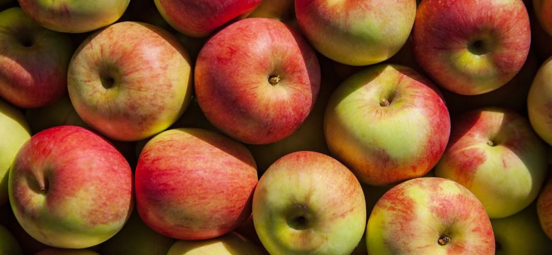 Manzana Industrial/EE.UU: Crecen 10% las existencias al 01 de Febrero 2026