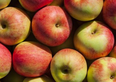 Manzana Industrial/EE.UU: Crecen 10% las existencias al 01 de Febrero 2026