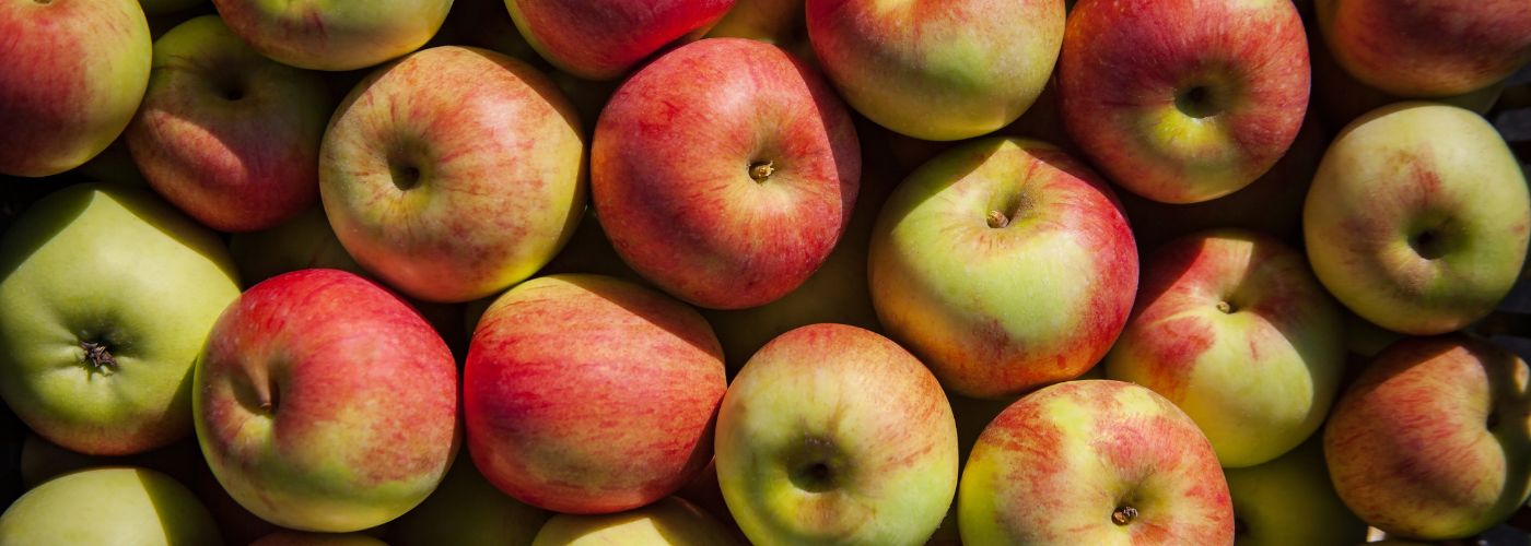 Diseño sin título – 2026-02-16T092508.865