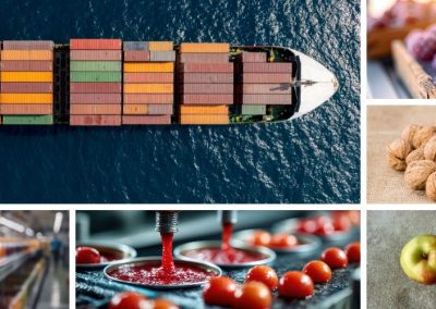 Exportaciones agroindustriales de frutas y hortalizas crecen 42% en valor al primer mes del año 2026