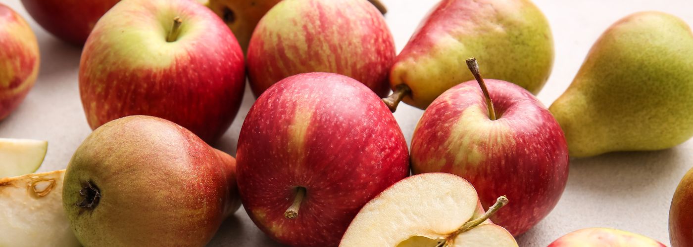 Diseño sin título – 2026-02-18T151423.900