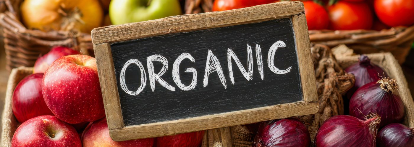 Diseño sin título – 2026-02-18T151909.669