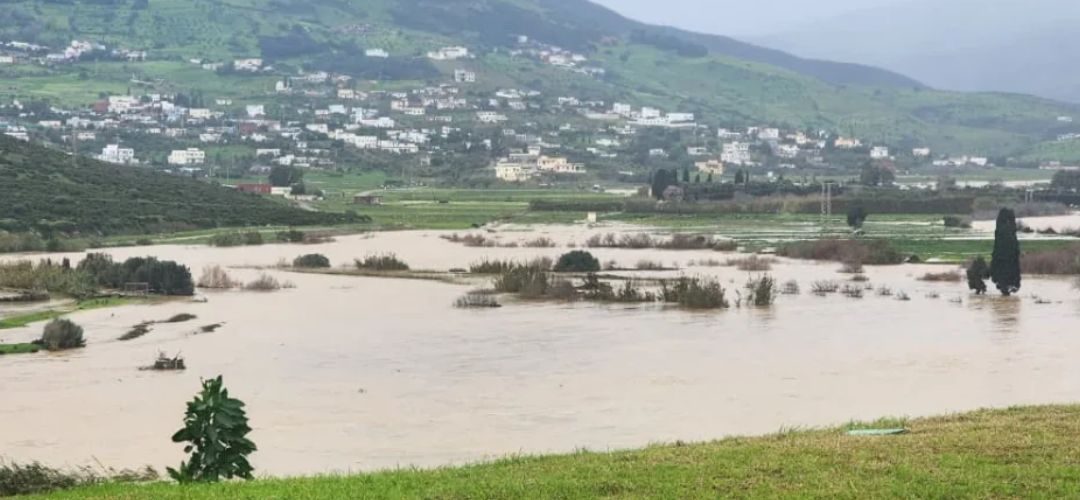 Berries/Marruecos: Inundaciones provocarían reducción del 10% de la producción