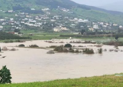 Berries/Marruecos: Inundaciones provocarían reducción del 10% de la producción