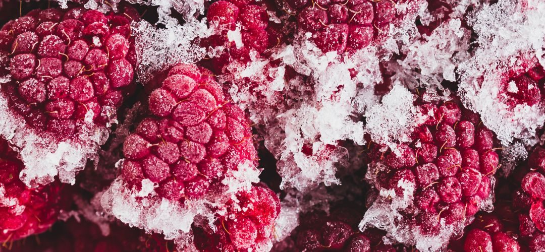 Frambuesas Congeladas/Ucrania: Envíos totales se redujeron 30% en 2025