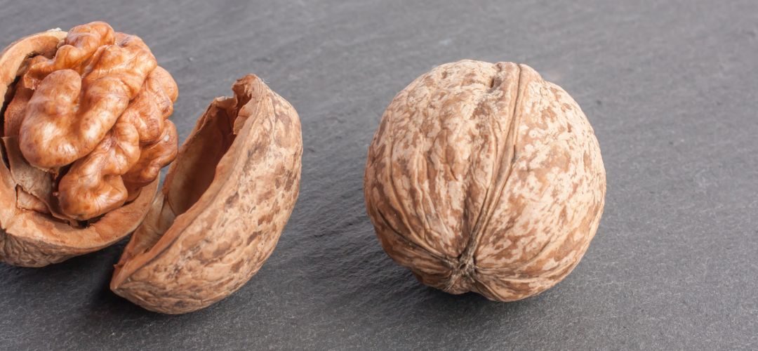 Nueces/EE.UU: Exportaciones con cáscara crecen 262% en mercados de Medio Oriente y África a Enero 2026