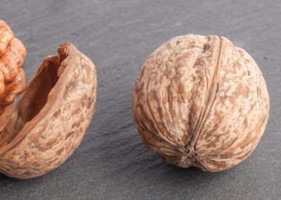 Nueces/EE.UU: Exportaciones con cáscara crecen 262% en mercados de Medio Oriente y África a Enero 2026