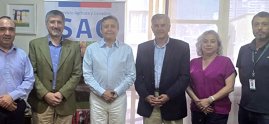 Chilealimentos presenta al Director Nacional del SAG campaña “Chile Proveedor Confiable de Frutas Congeladas de Exportación