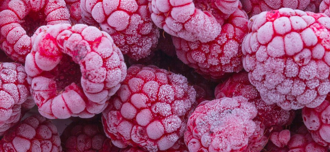 El incremento de la frambuesa ucraniana en Polonia redefine la cadena europea de berries congelados