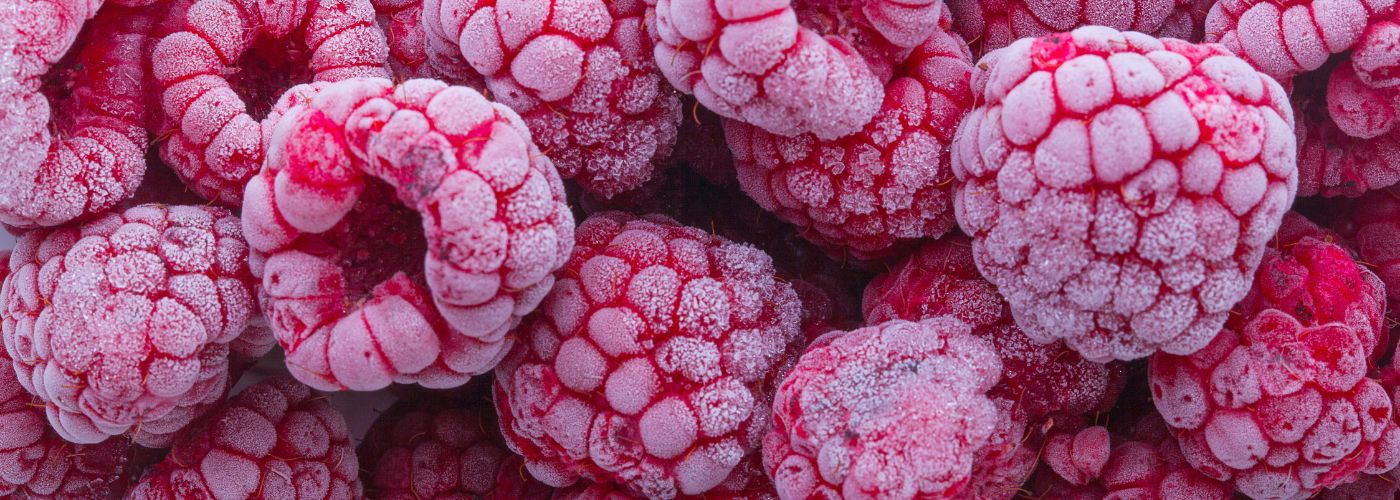 Diseño sin título – 2026-02-25T150620.926