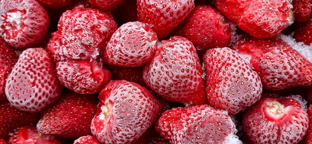 Polonia: La presión de costos y la competencia global aceleran declive de la frutilla industrial