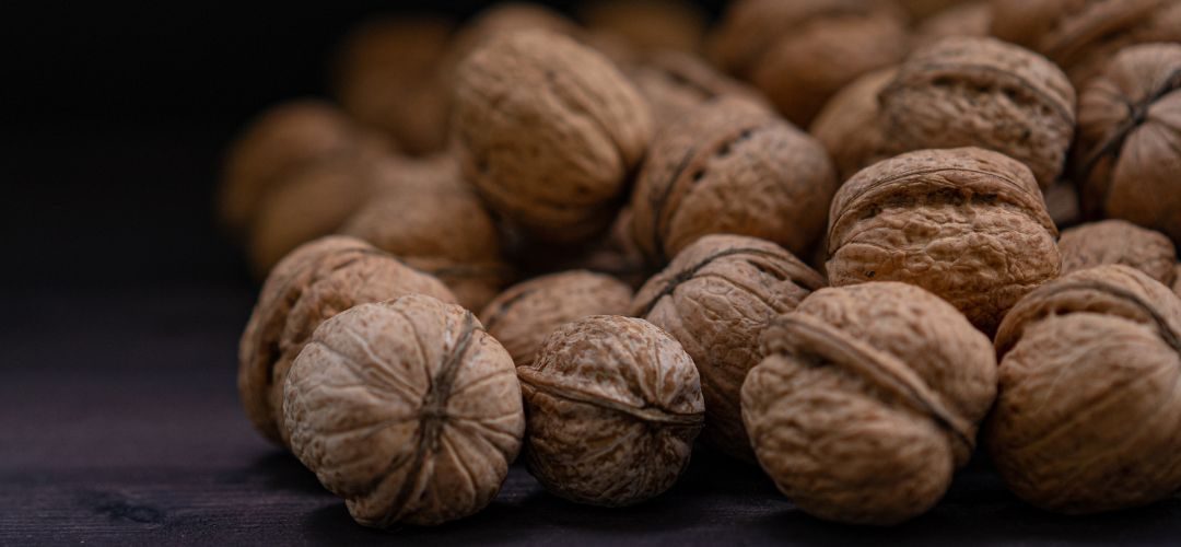 Ucrania/Nueces: En 2025 se desplomaron las exportaciones de nueces con cáscara y sin cáscara