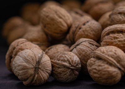 Ucrania/Nueces: En 2025 se desplomaron las exportaciones de nueces con cáscara y sin cáscara
